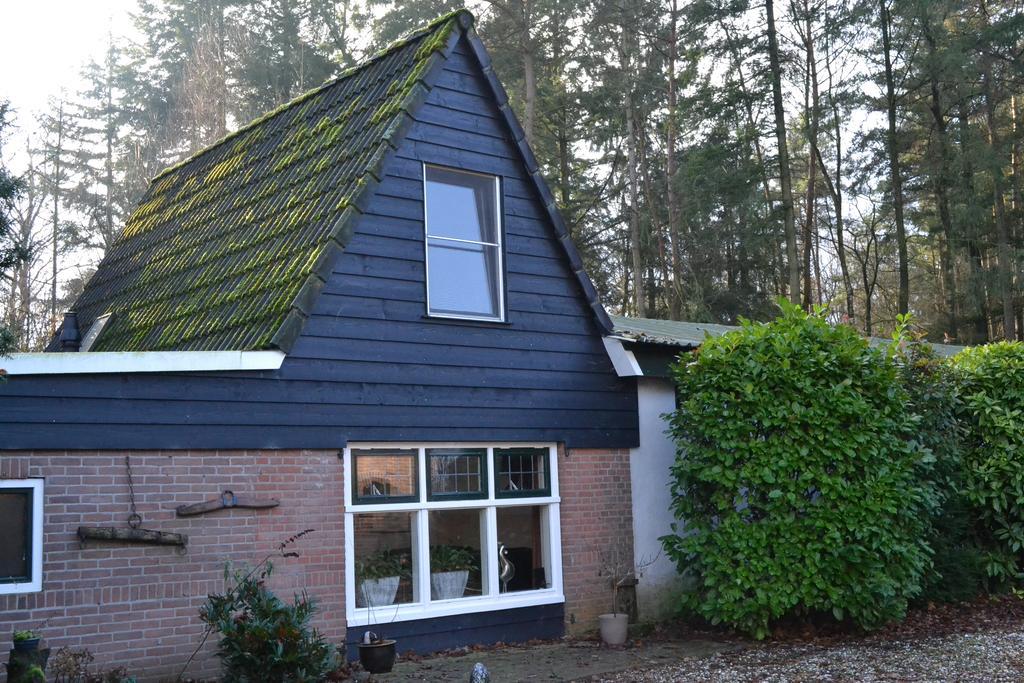 De Hooge Woeste Villa Emst Exterior foto